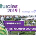 aurea-culturales