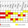 TABLEAUCARRENCES
