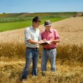 36742093 – peasant and businessman looking at notebook on wheat field