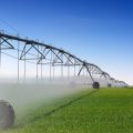 irriation1
