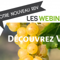 vegeexress-WEBINAIRE-VIGNE