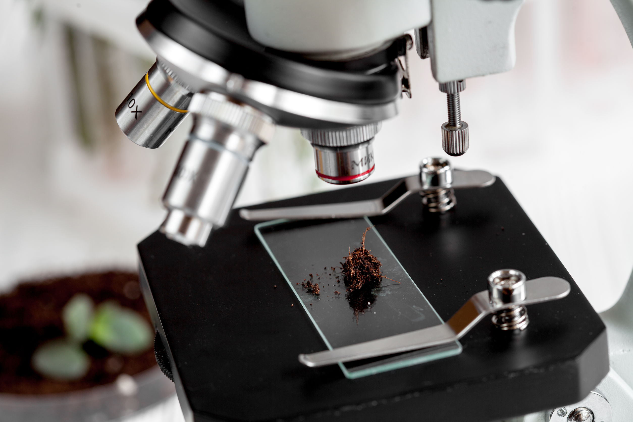 analysis of soil samples under microscope - Auréa AgroSciences ...
