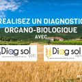 Post-DiagSol